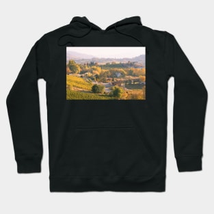 View of Vineyards in Autumn Hoodie